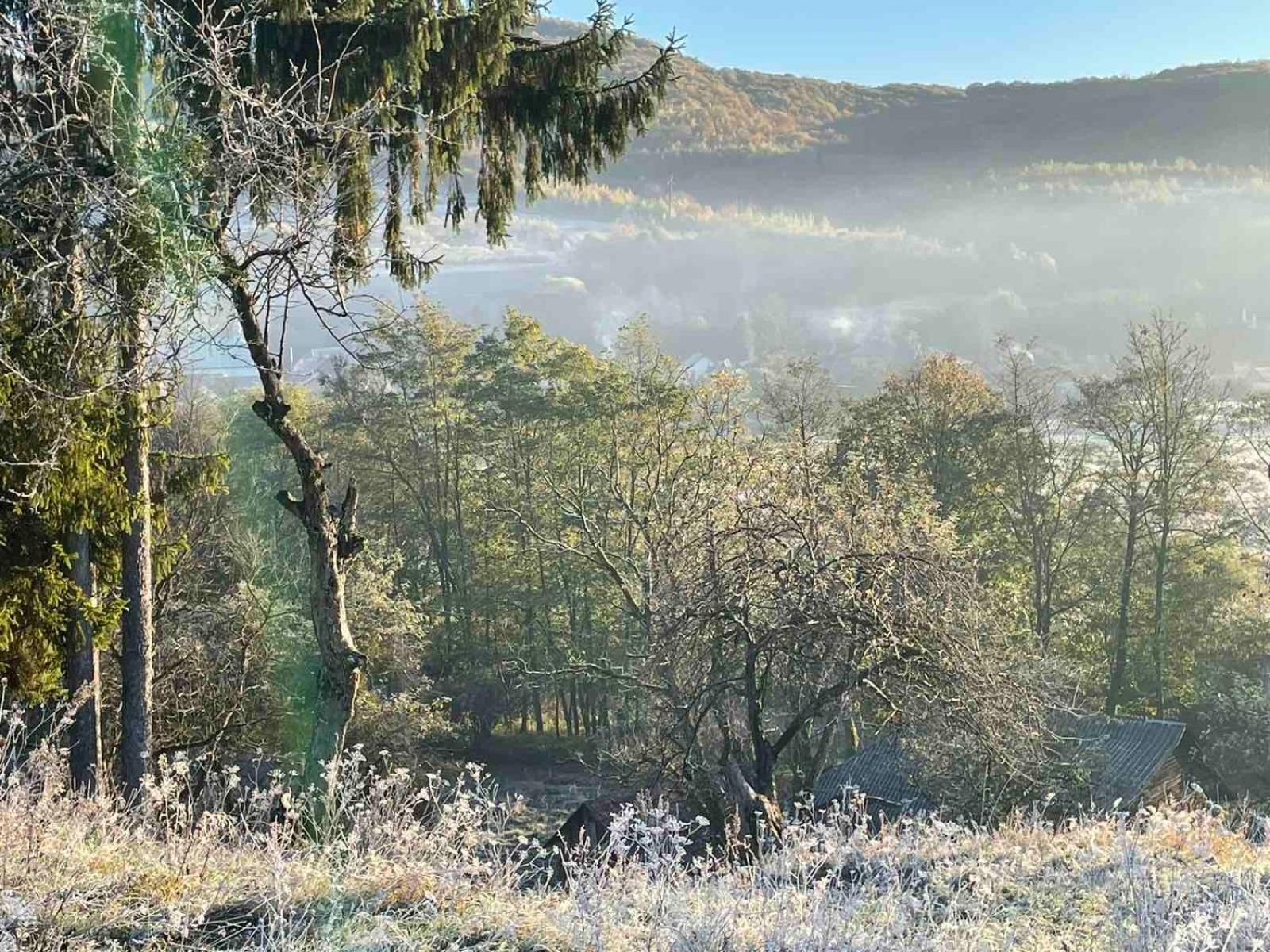 Приватна Садиба Дикий Мед Ploskoye Exteriör bild